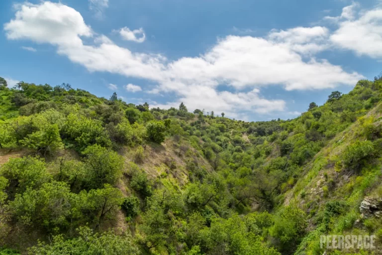 txeu7wwsdki0aise5lcb